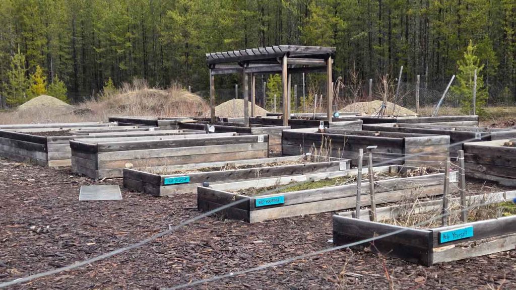 Valemount Community Garden