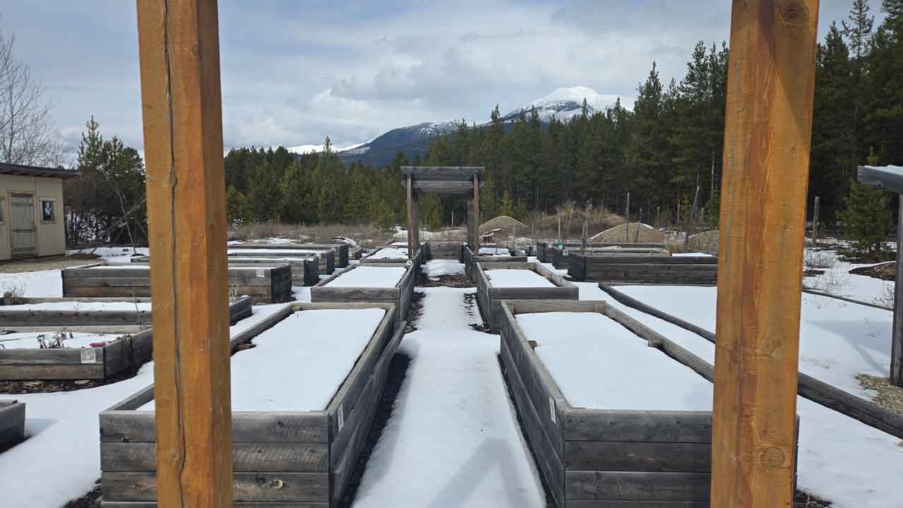 Valemount Community Garden