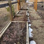 Garden Boxes